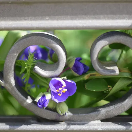 Stolzenfels-1 By Interhome شقة *