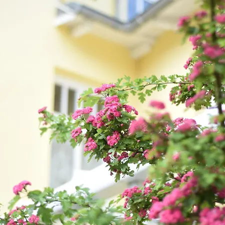Apartman Stolzenfels-1 By Interhome
