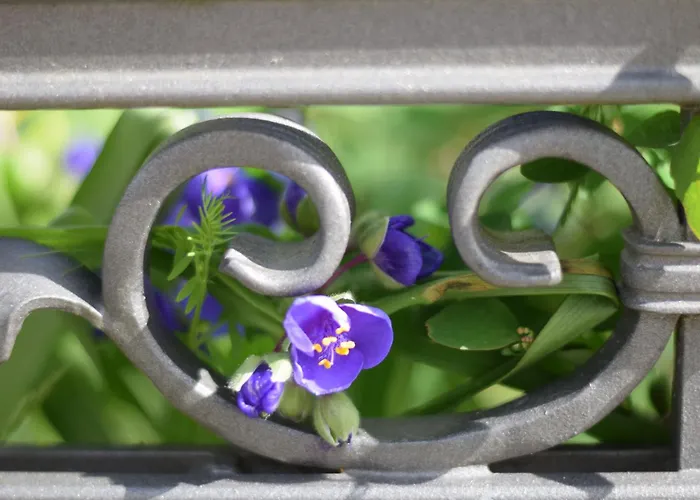 Stolzenfels-1 By Interhome Appartement *