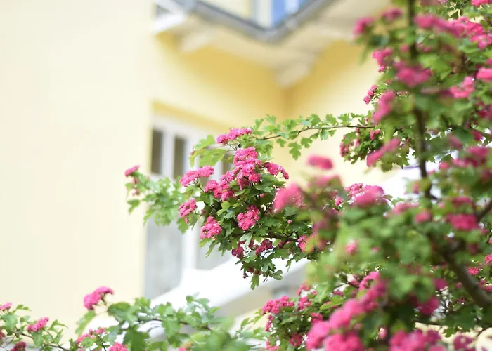 Appartement Stolzenfels-1 By Interhome