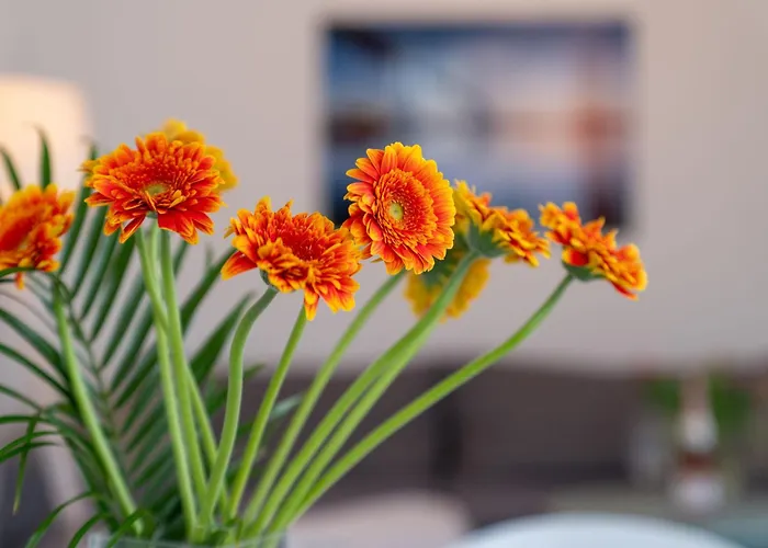 Stolzenfels-1 By Interhome Appartement